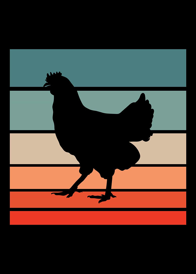 Chicken Retro Vintage