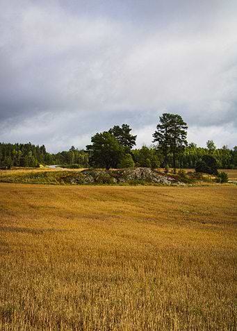 Swedish landscape view