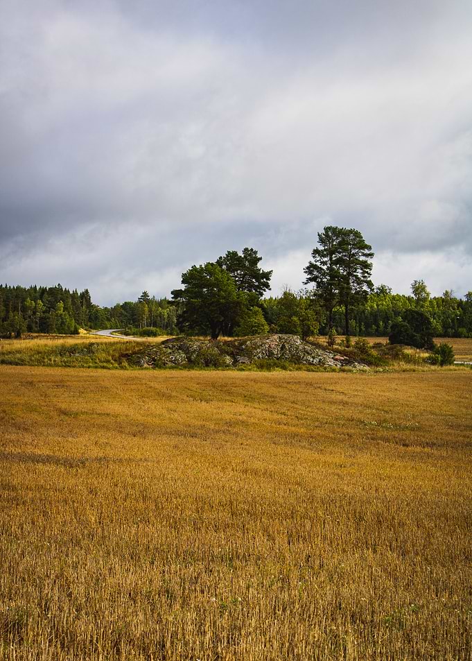 Swedish landscape view