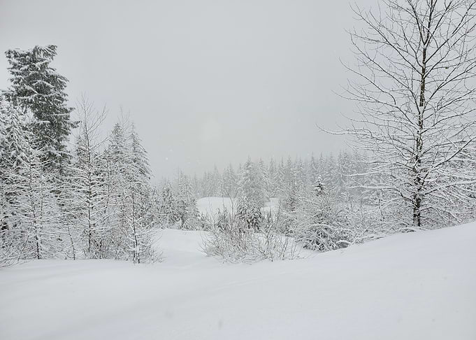 Whistler BC snow