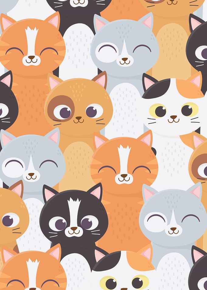 Cute Cats