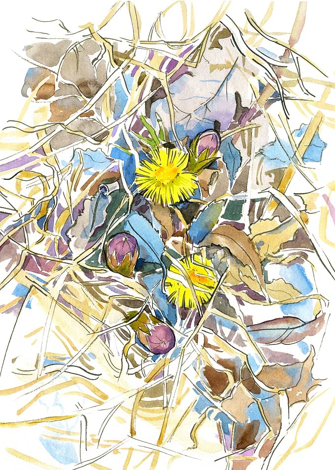 Earth in spring 2