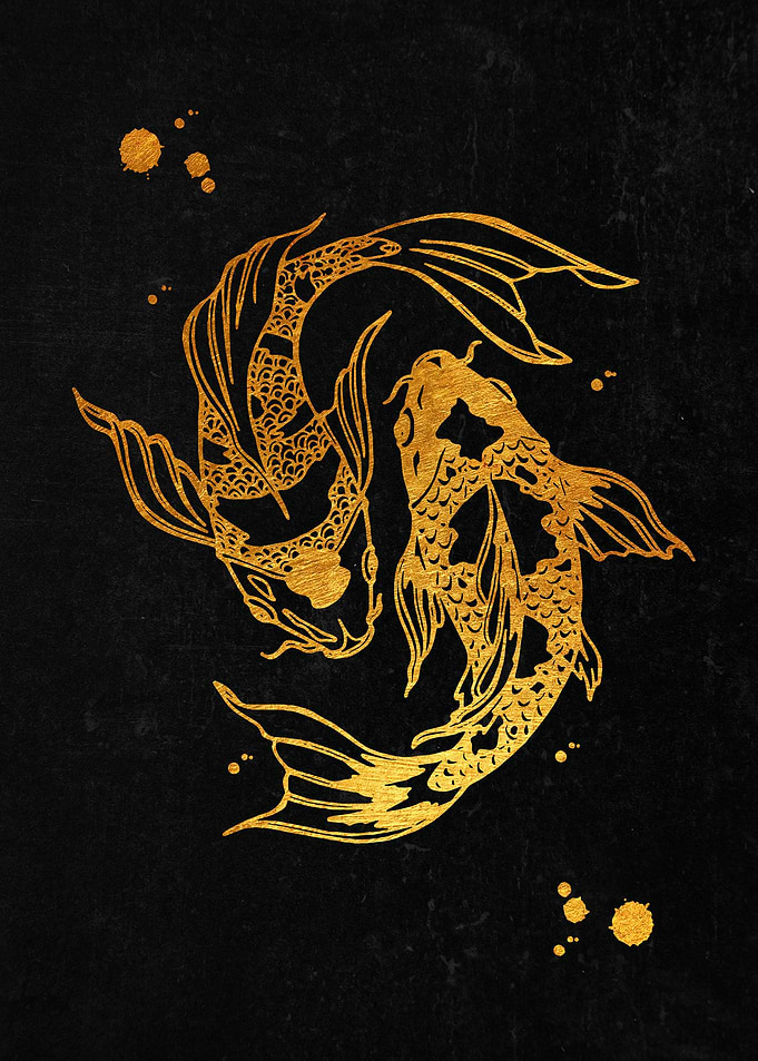 Koi Fish