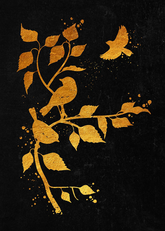Birds on Branch