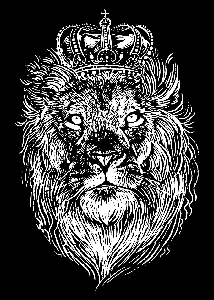 Lion the King of Animals