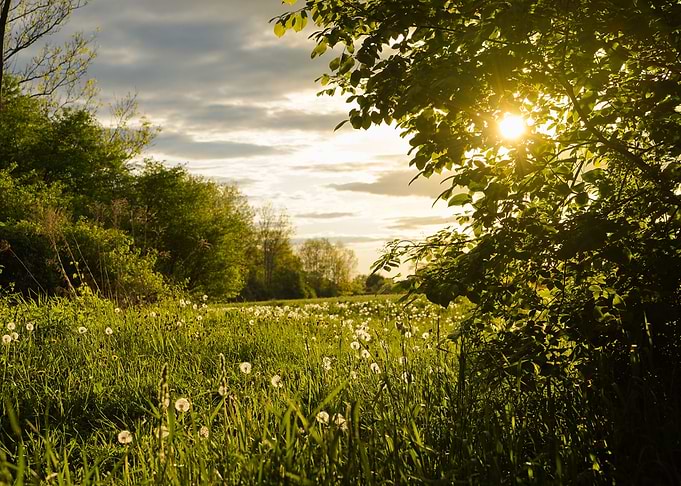 Midsummer Evening