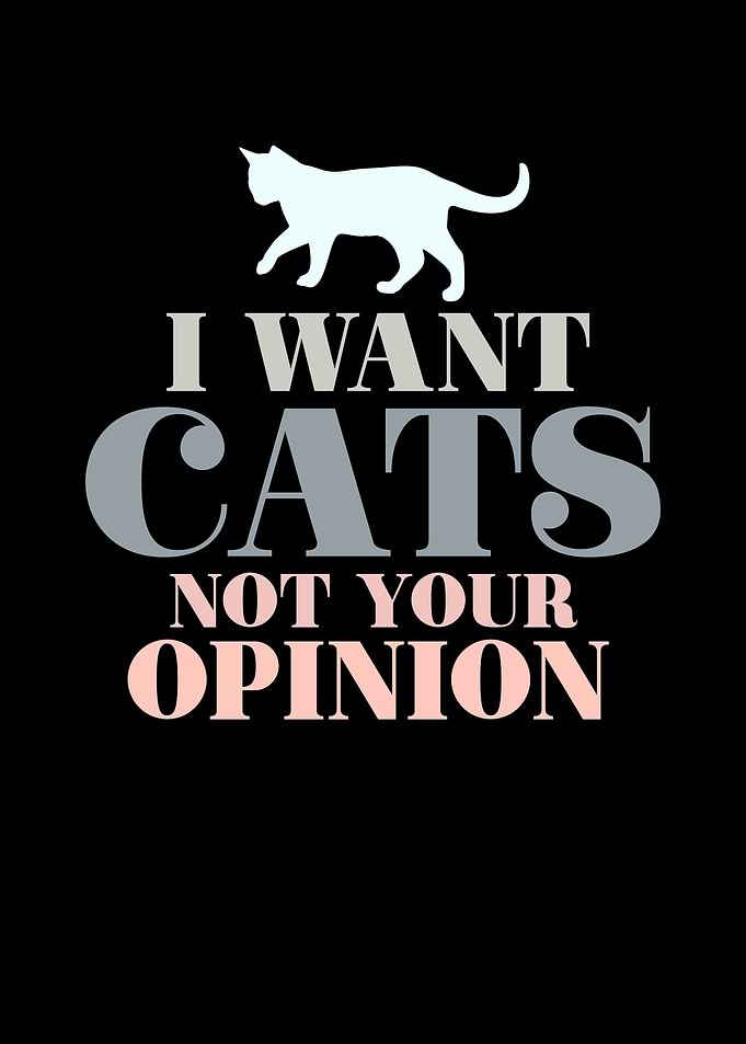 Cats Saying Funny
