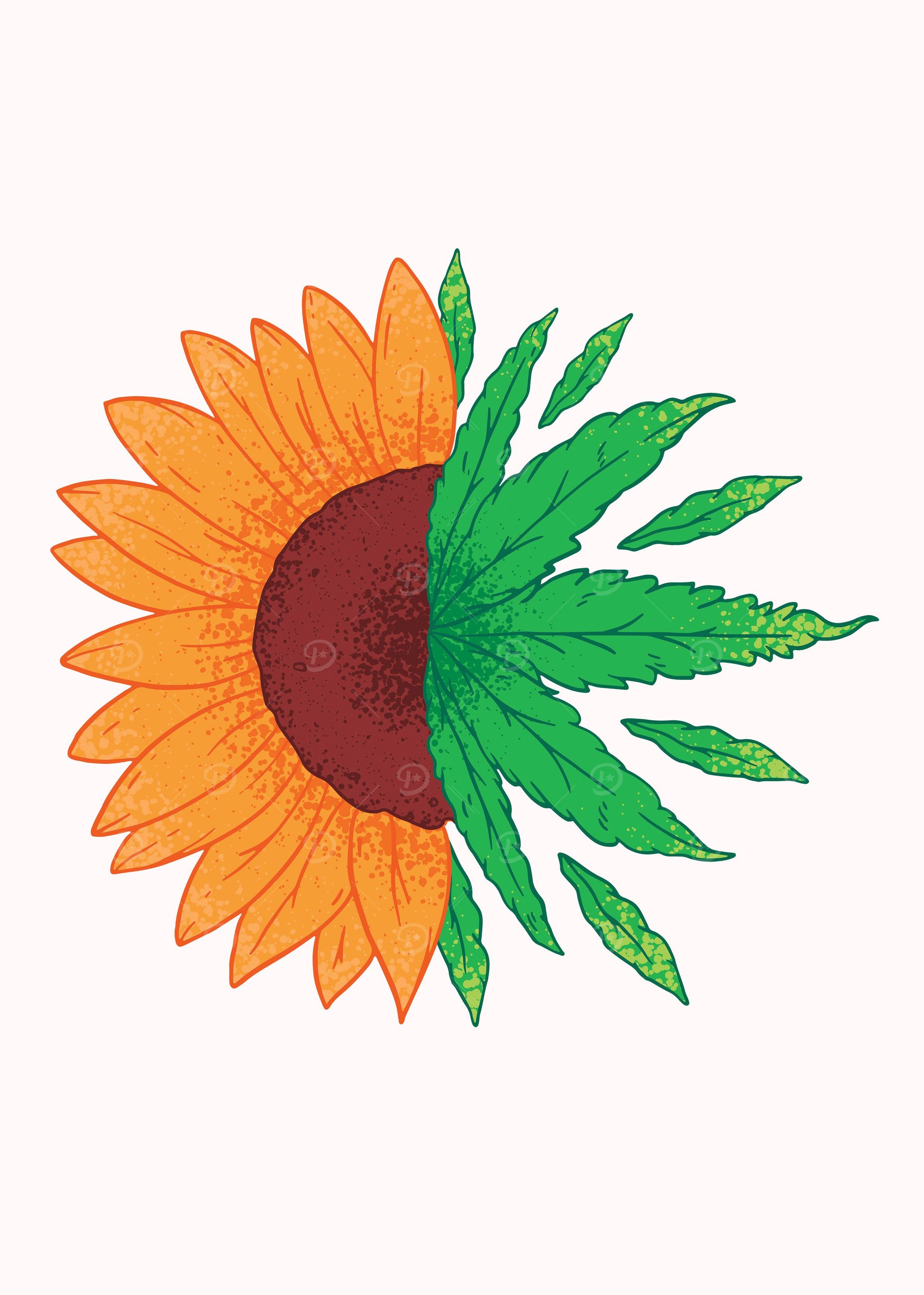 Sunflower weed