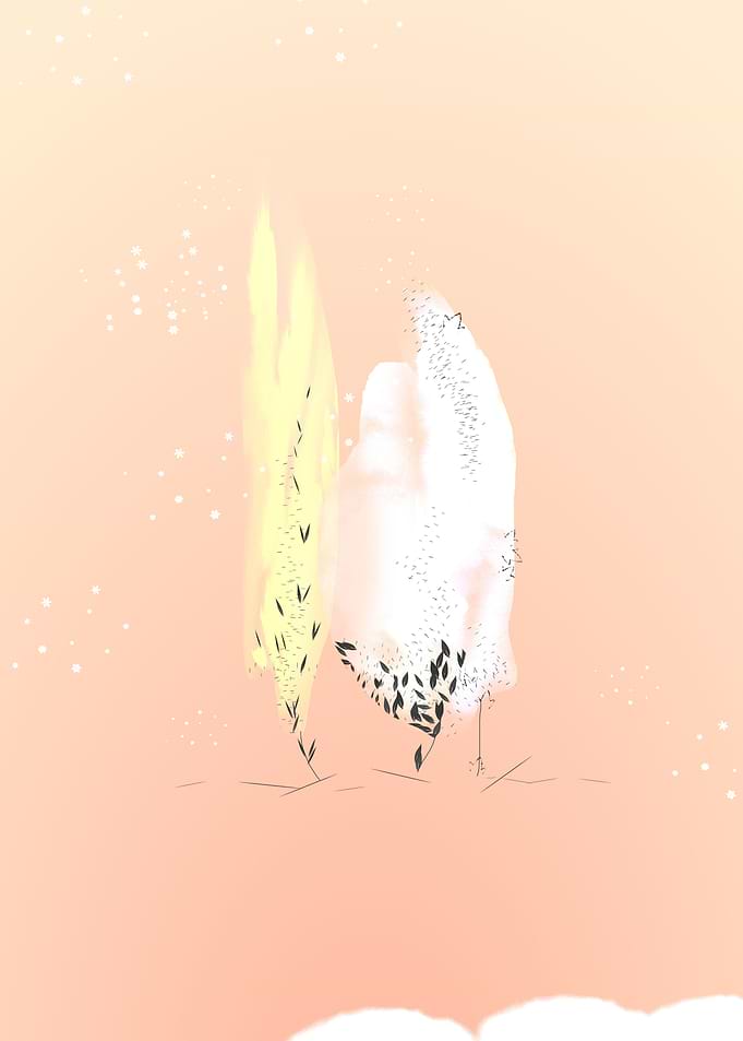 Peachy winter