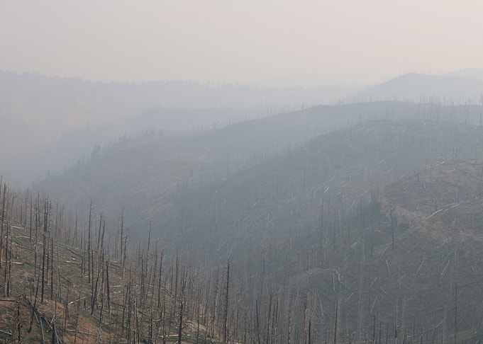 Fire Ravaged Valley