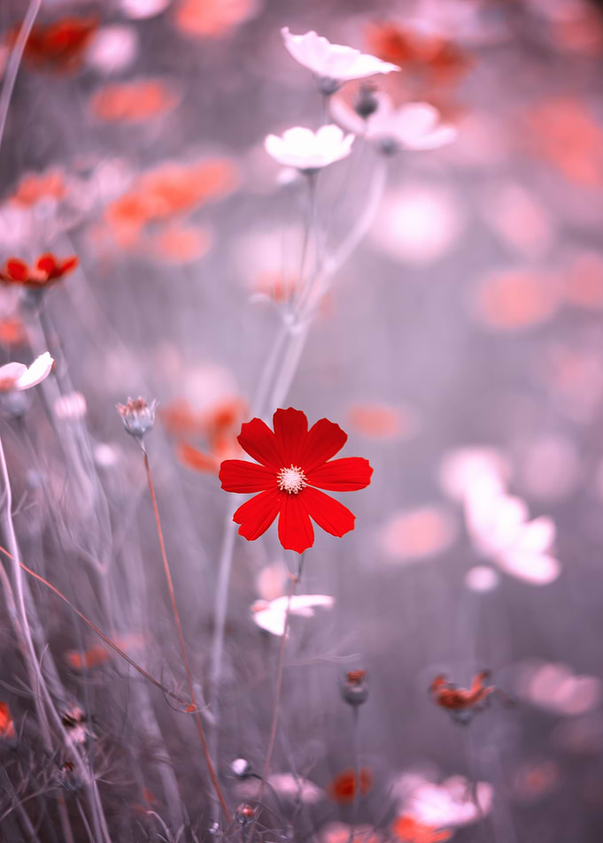 Summer floral arrangement