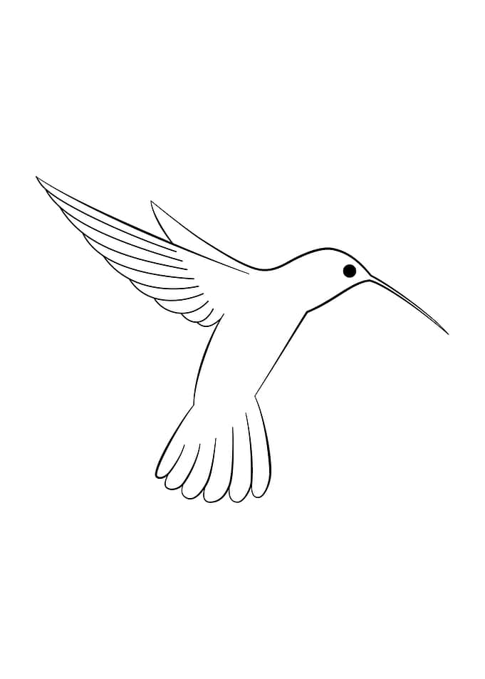 Animale 03