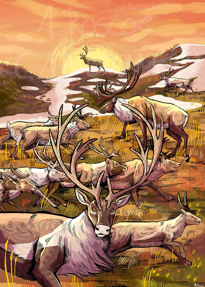 Migrating to the Mountain