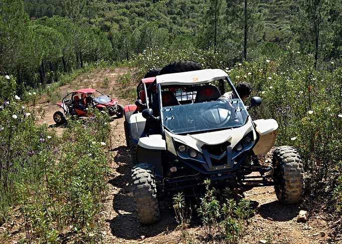 Buggy Tour 03