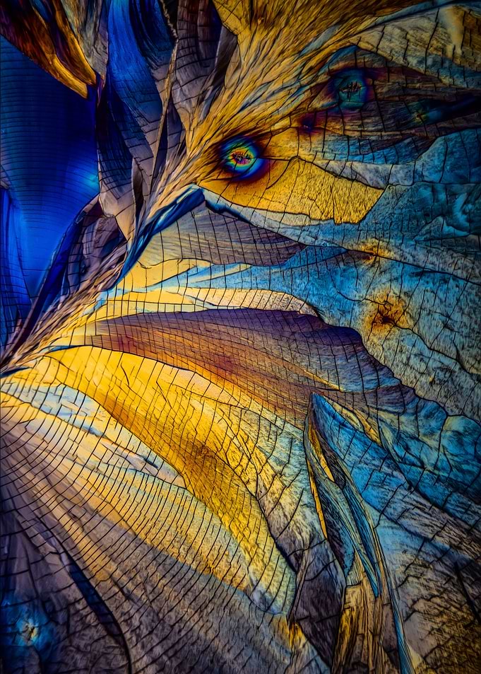 Blue and yellow pattern