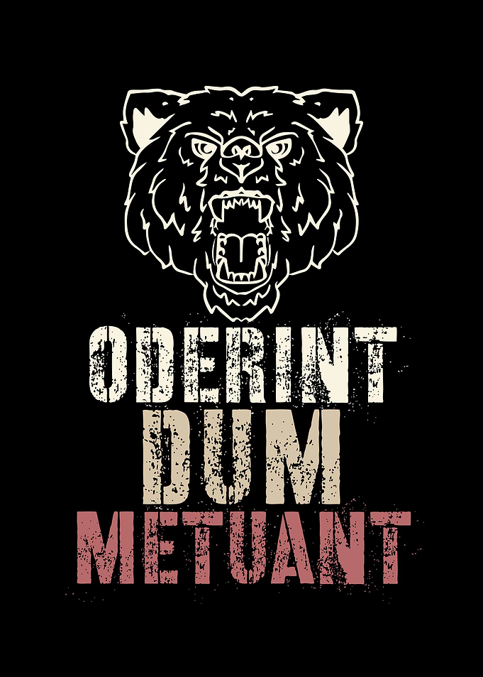 Oderent Dum Metuant