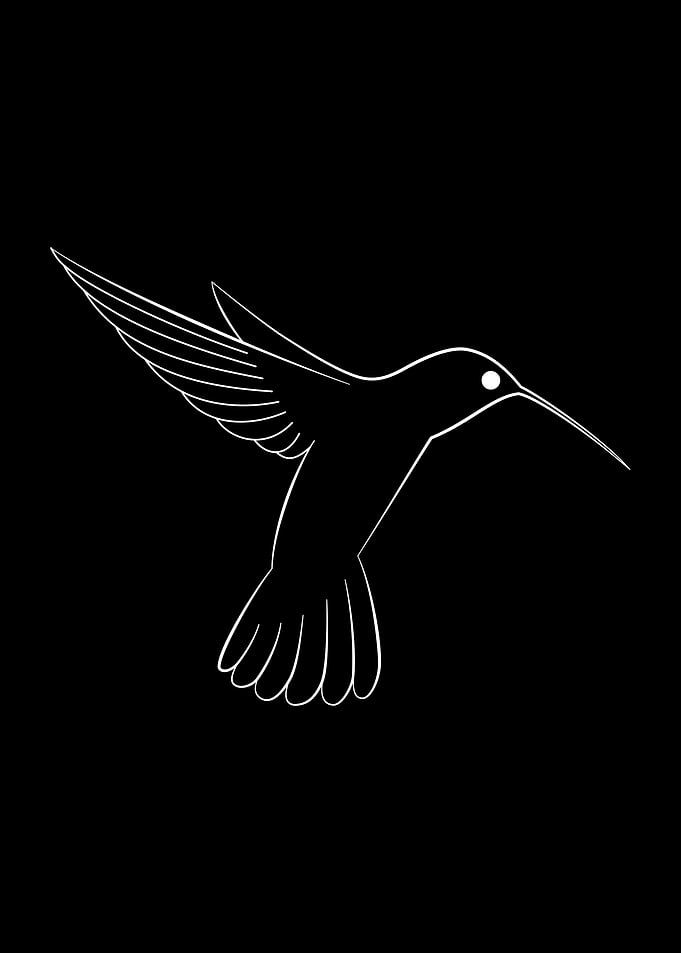 Animale 04