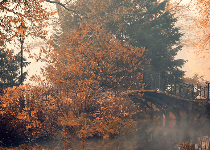 Autumn foggy lake in park