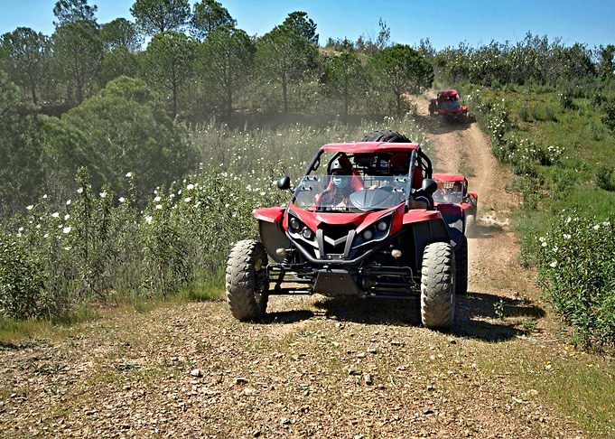 Buggy Tour 04