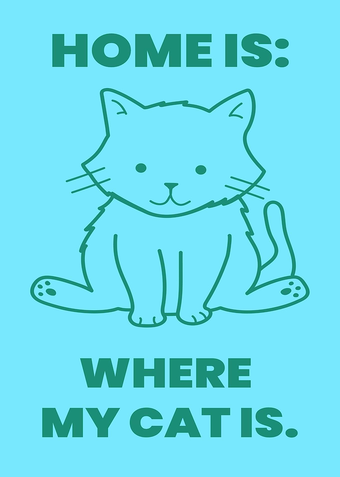 Cat and home