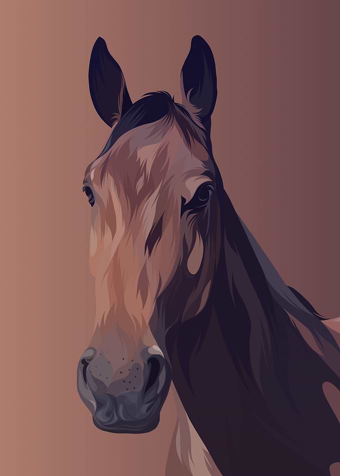 Horse 4