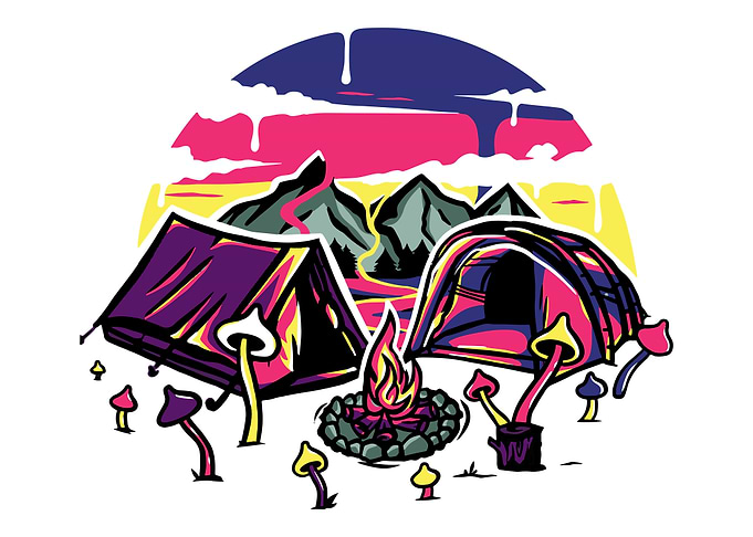 Psychedelic camp