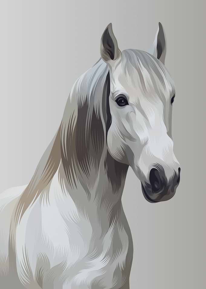 Horse 6