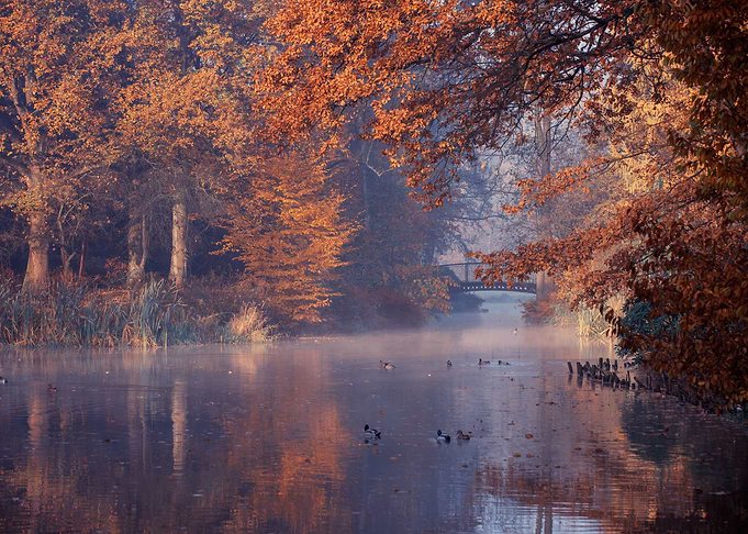 Autumn landscape in park