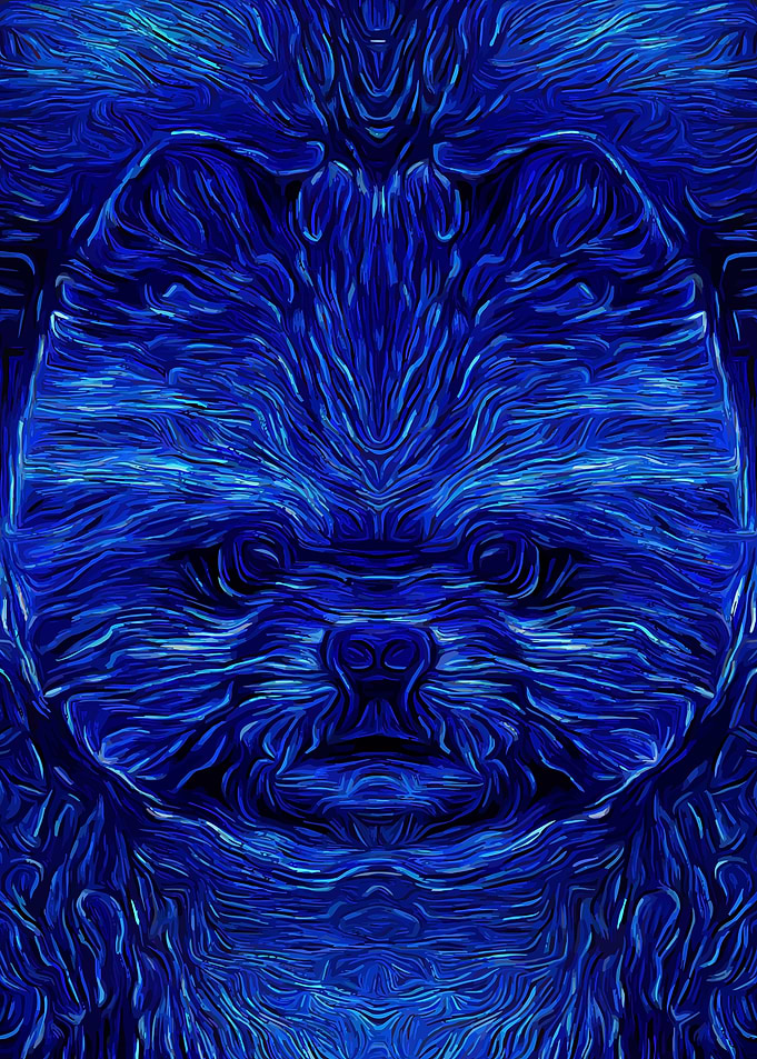 Pomeranian Fairy Night