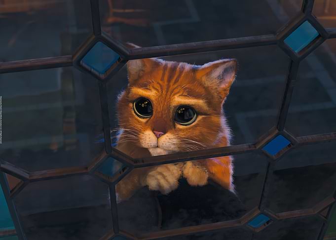 Cute eyes