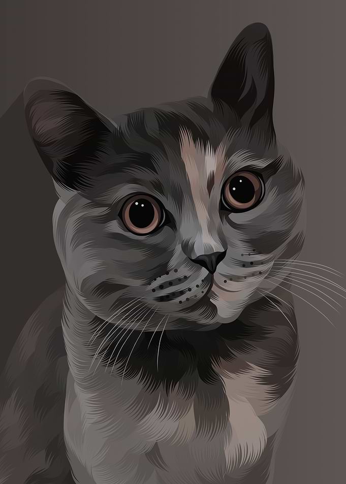 Kitten 2