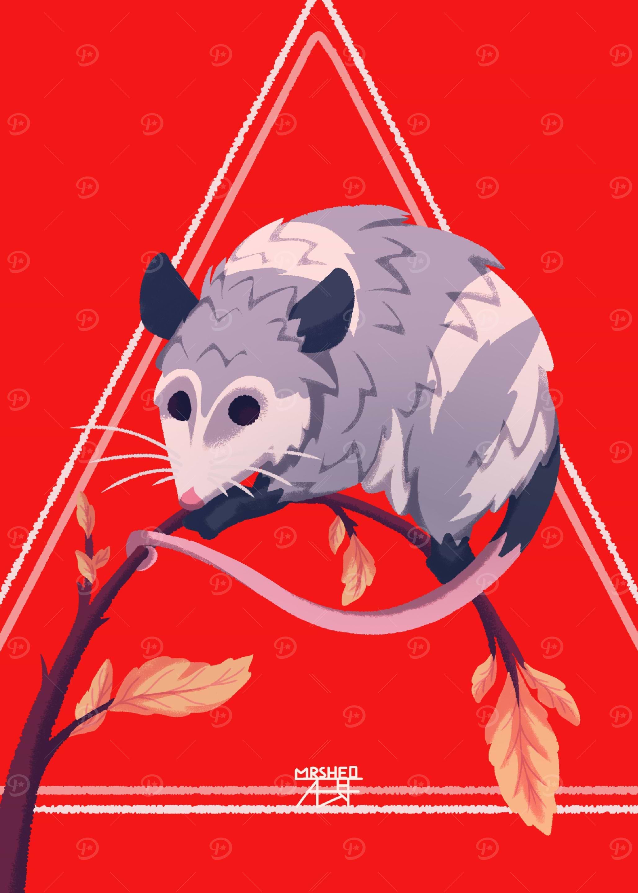 Opossum