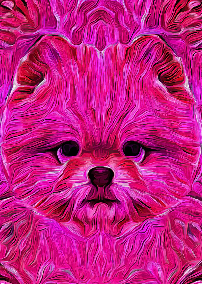 Pomeranian Pink Art
