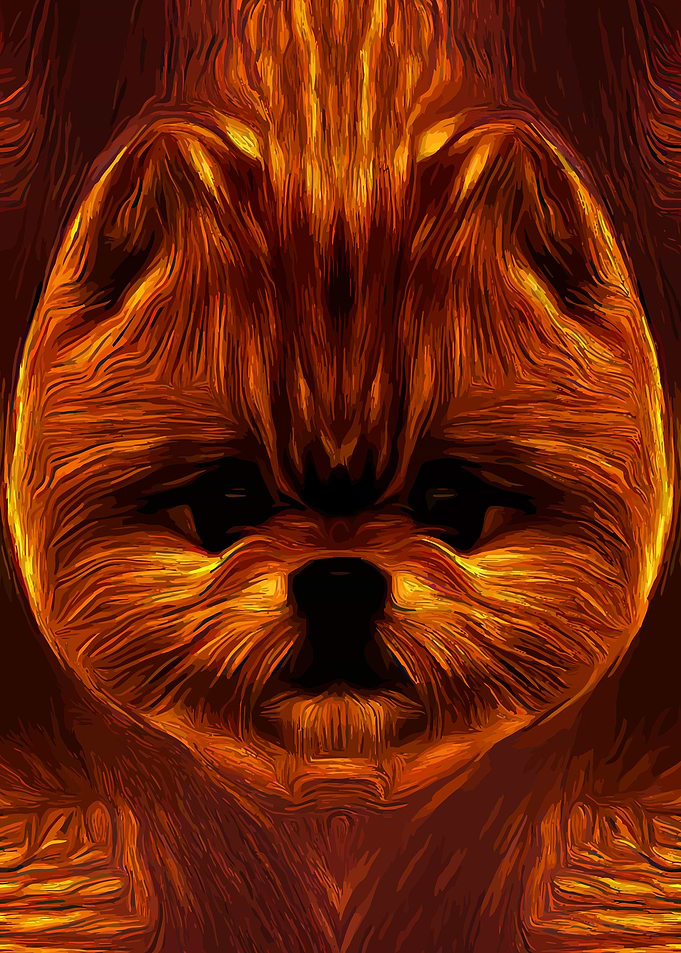 Pomeranian Golden Art