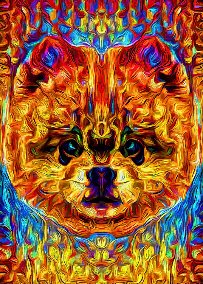 Pomeranian Artwork