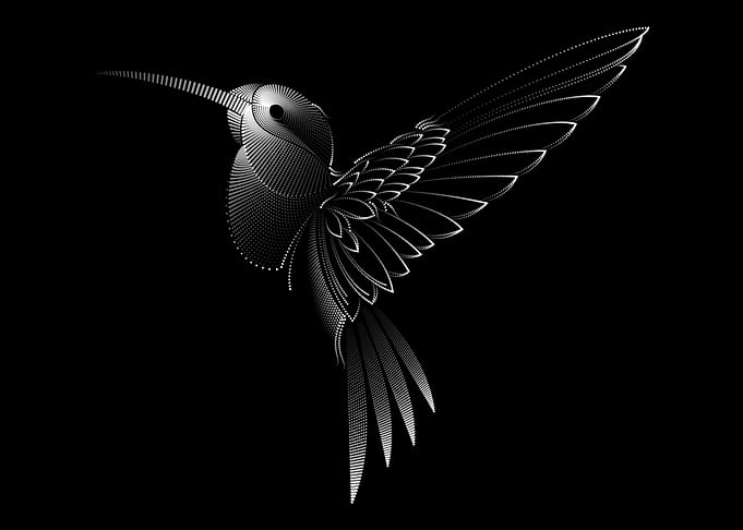 Humming Bird Animal Art