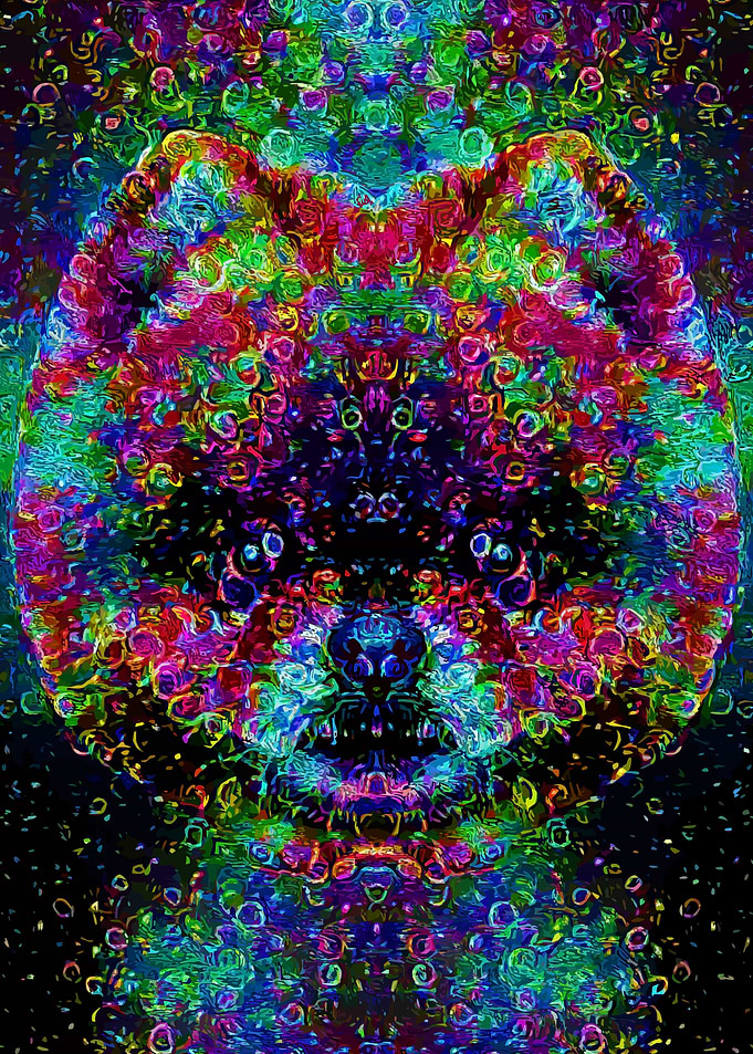 Pomeranian Magical Bubbles