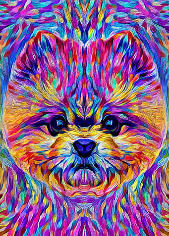 Pomeranian Colorful Art