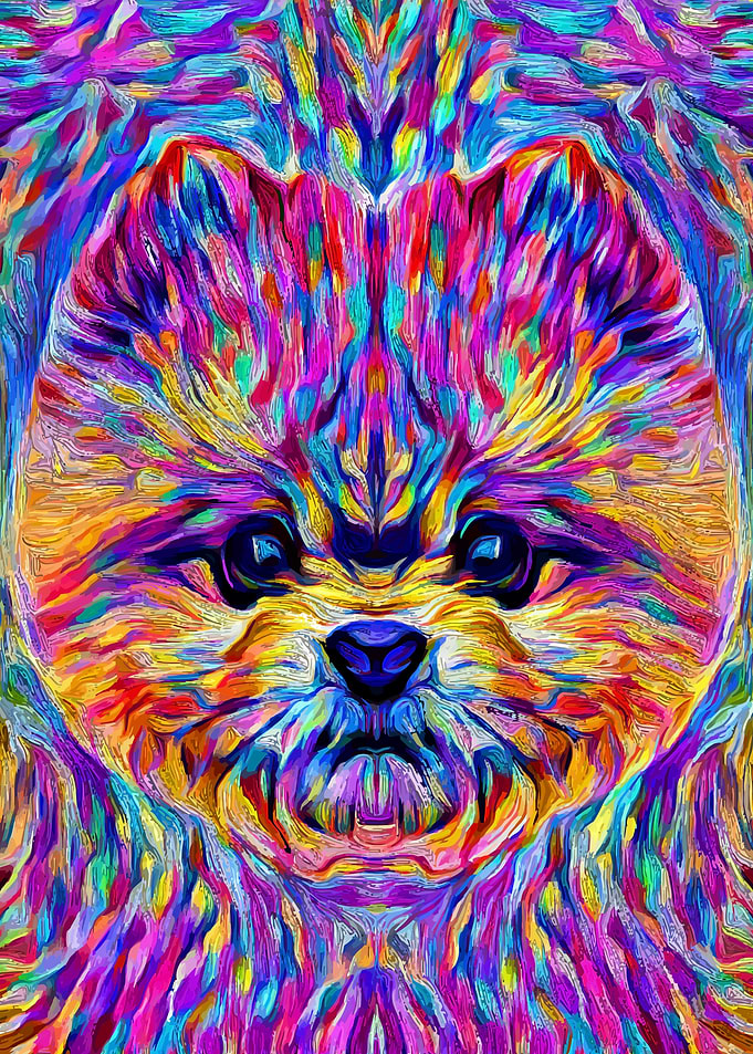 Pomeranian Colorful Art