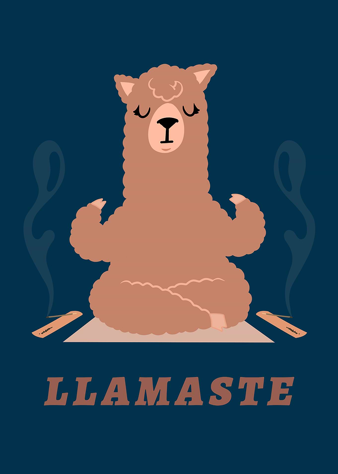 Zen Llama