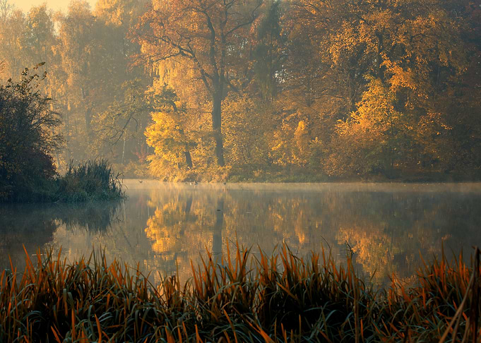 Autumn foggy lake in park
