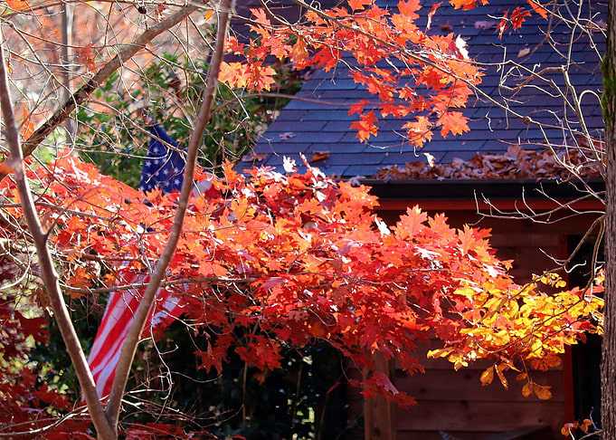 Happy Fall You All