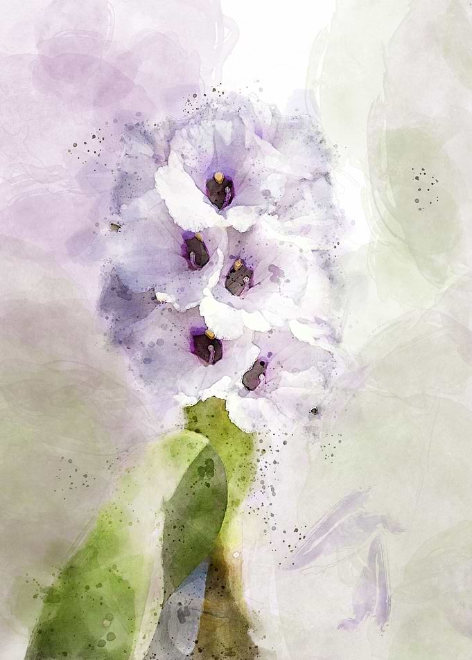 Aquatic Flowers