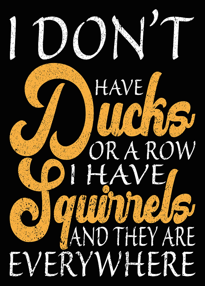 I do not have ducks but