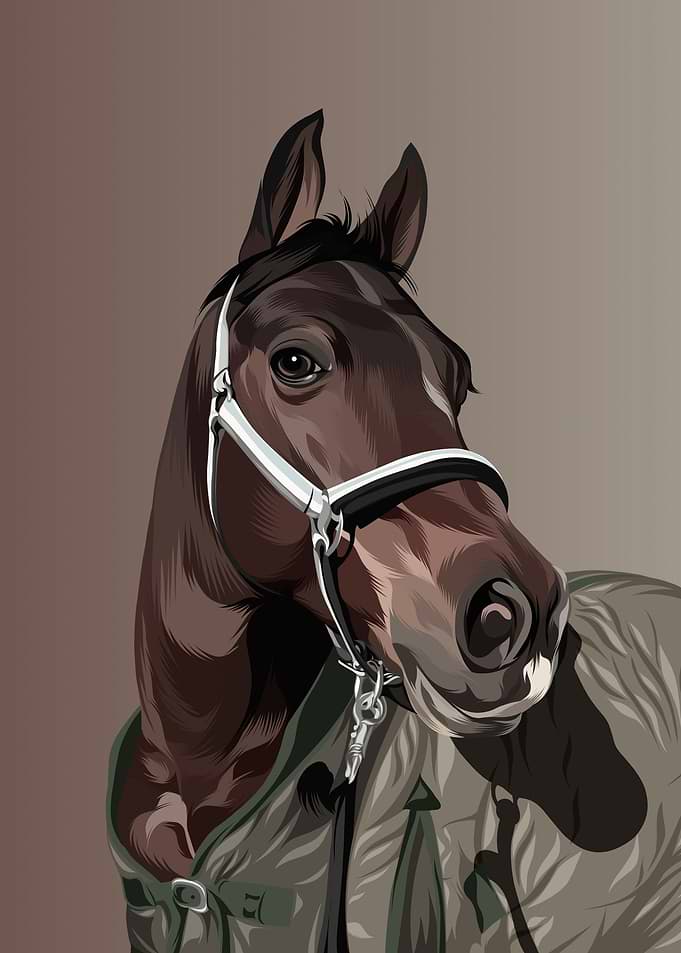 Horse 5