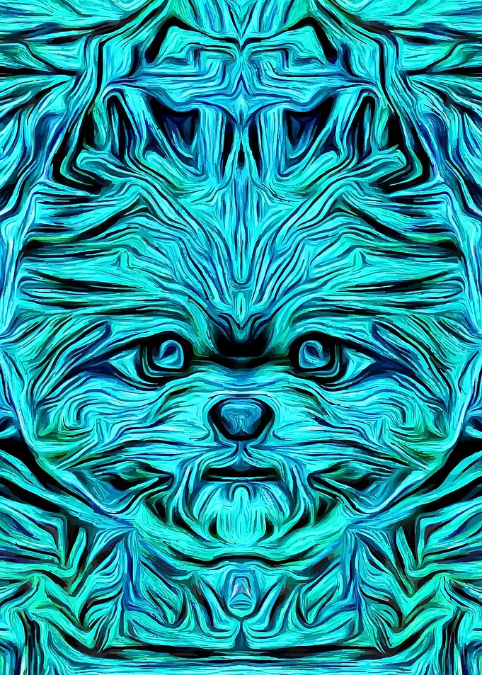 Pomeranian Turquoise Fluid