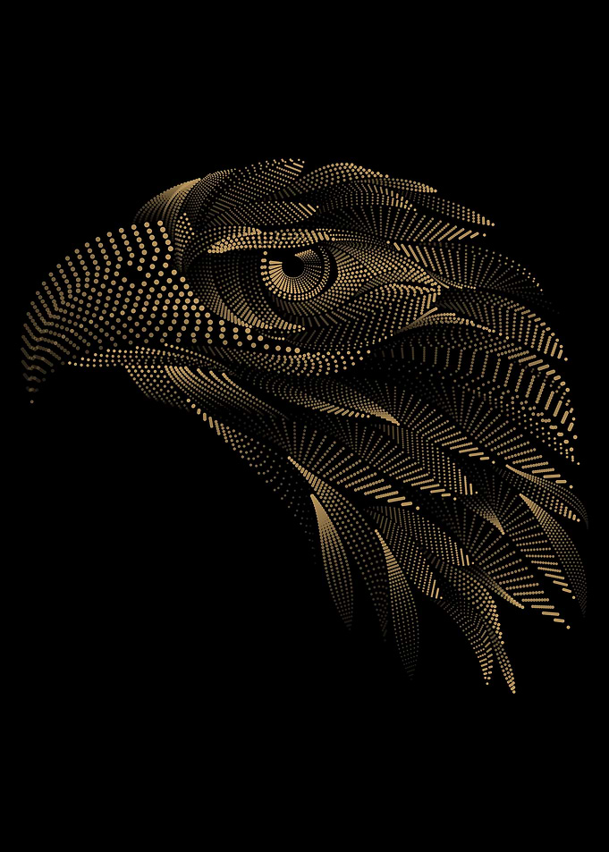 Golden Eagle head Art