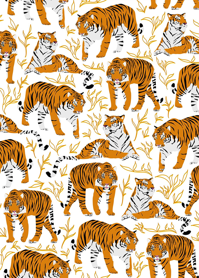Majestic bengal tigers