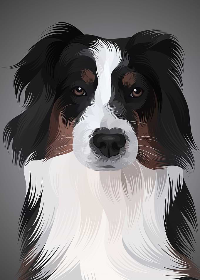 Dog 7