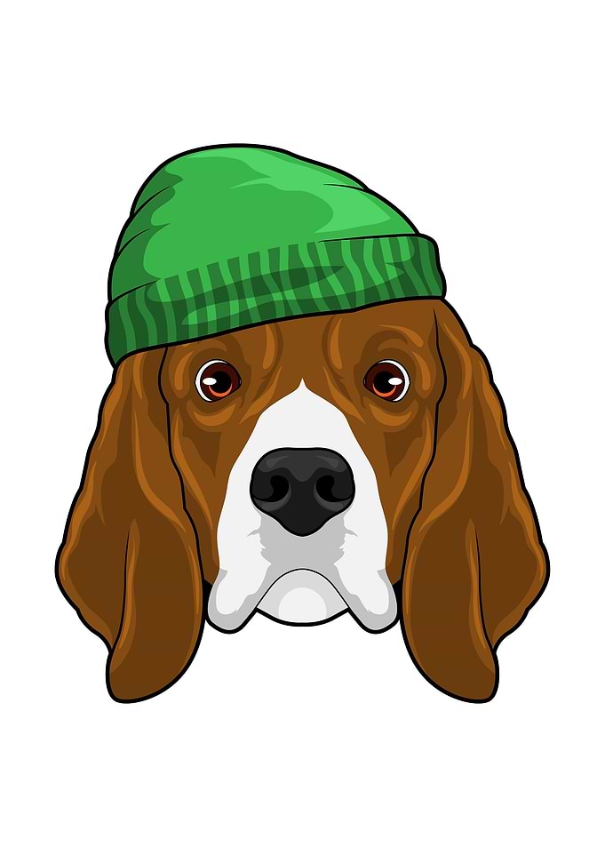 Dog Beanie